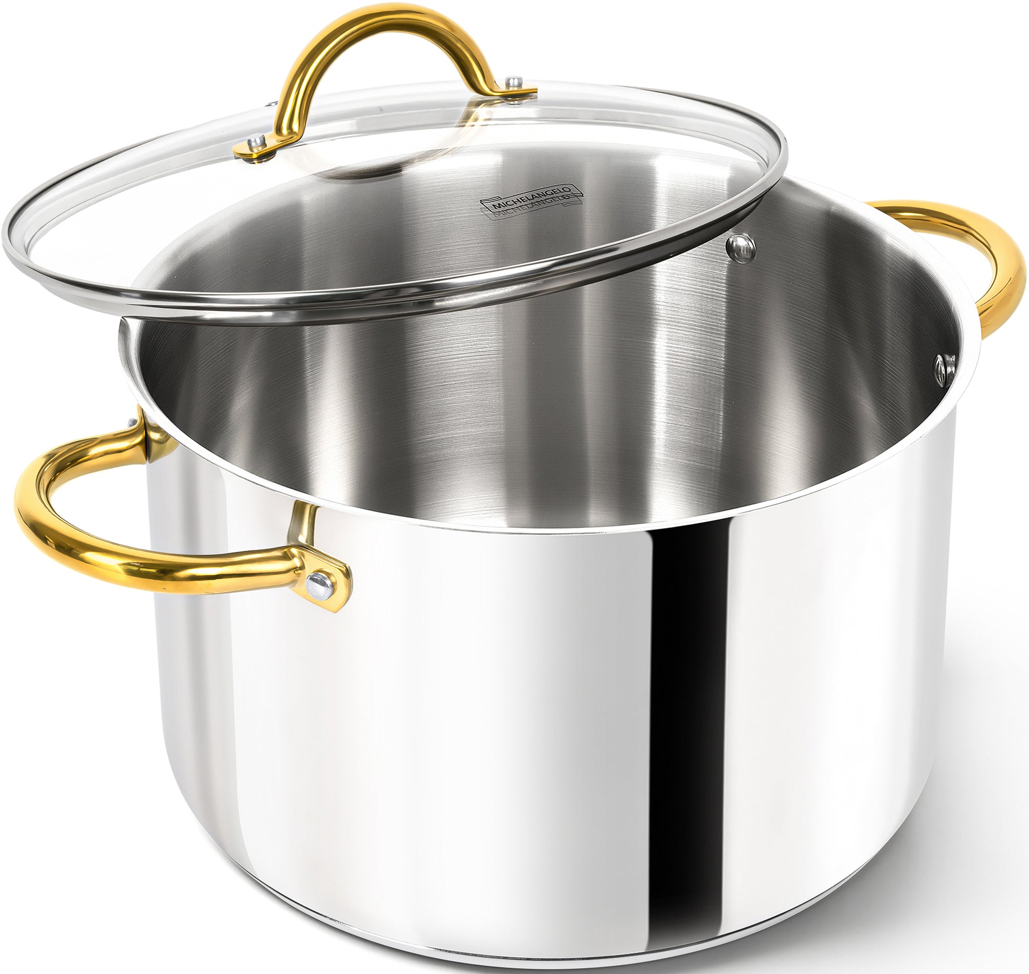 MICHELANGELO Stainless Steel Pot