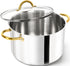 MICHELANGELO Stainless Steel Pot
