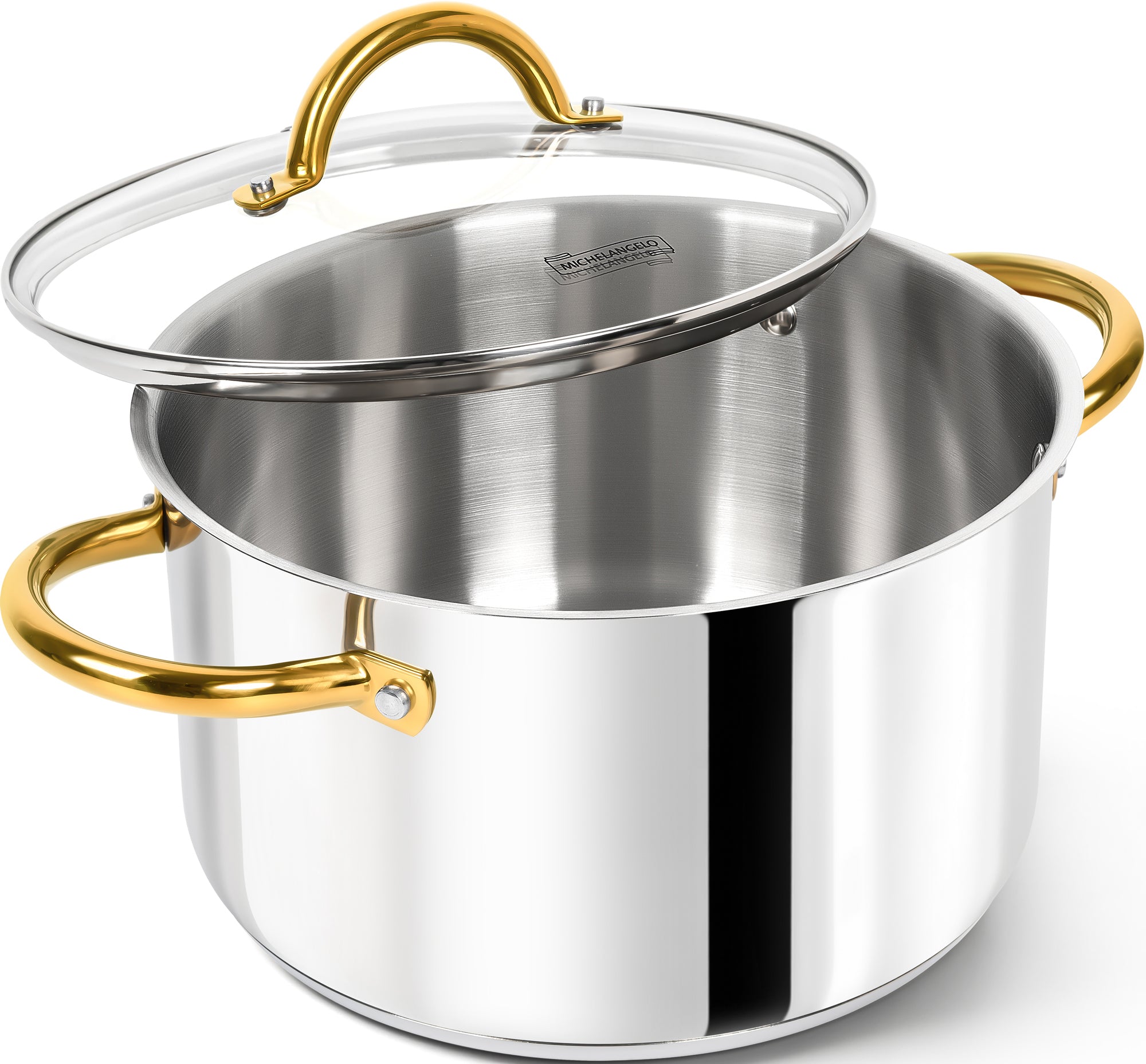MICHELANGELO Stainless Steel Pot